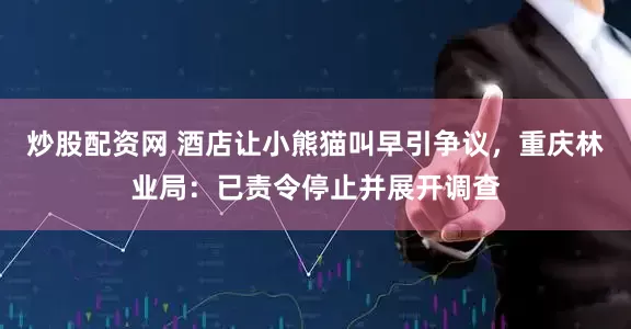 炒股配资网 酒店让小熊猫叫早引争议，重庆林业局：已责令停止并展开调查