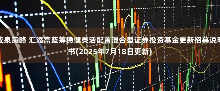 成泉策略 汇添富蓝筹稳健灵活配置混合型证券投资基金更新招募说明书(2025年7月18日更新)