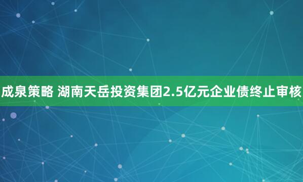 成泉策略 湖南天岳投资集团2.5亿元企业债终止审核